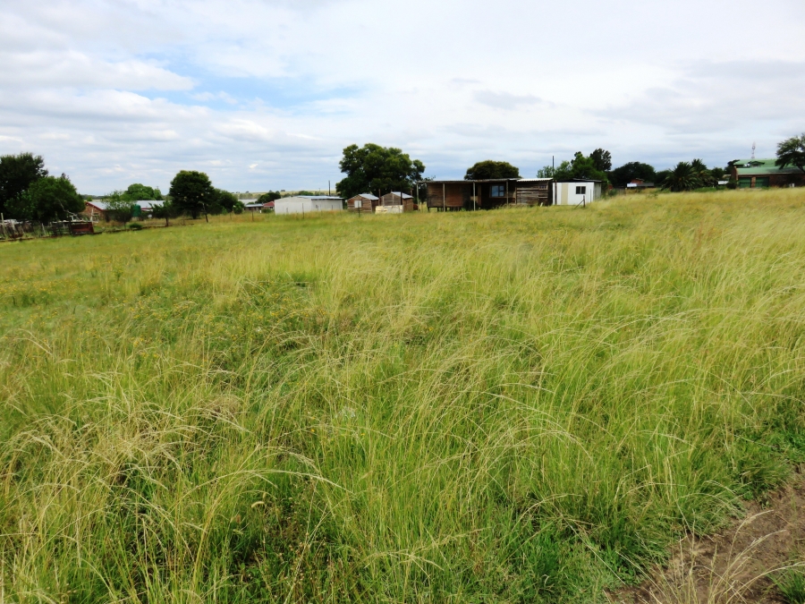 0 Bedroom Property for Sale in Oranjeville Free State